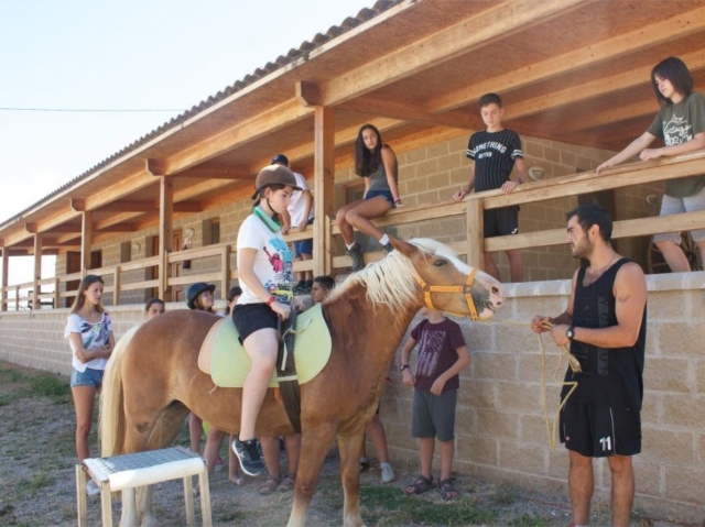  Reiten Ein Pferd auf dem Schulbauernhof 